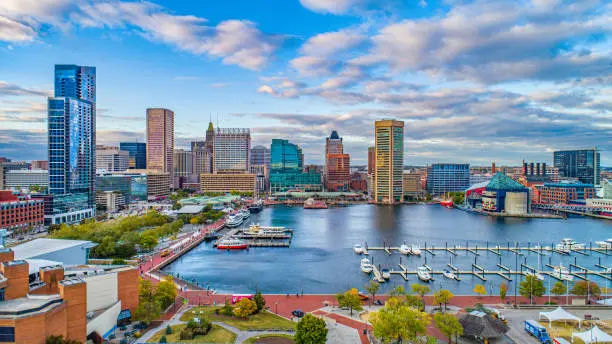 CLARITY! Accounting Services in Baltimore County, MD | Molinari Oswald CPAs & Business Advisors