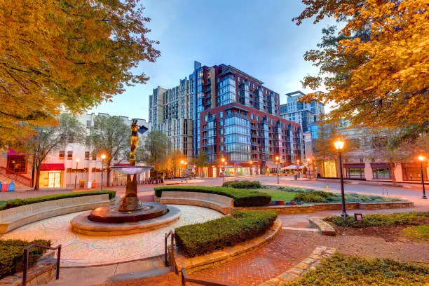 CLARITY! Accounting Services in Montgomery County, MD | Molinari Oswald CPAs & Business Advisors