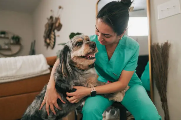 Veterinary Accounting Services | Molinari Oswald CPAs & Business Advisors